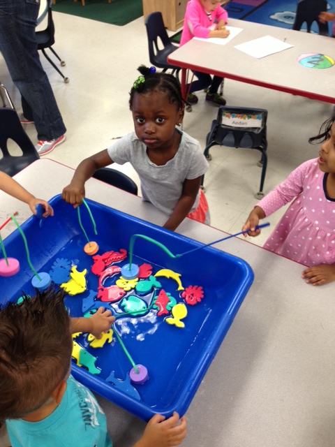 photo 1 (5) - Copy - Copy